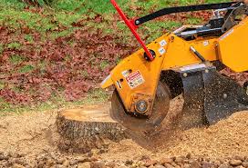 Best Lot and Land Clearing  in Durham, OR