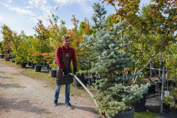 Best Tree Maintenance Programs  in Durham, OR